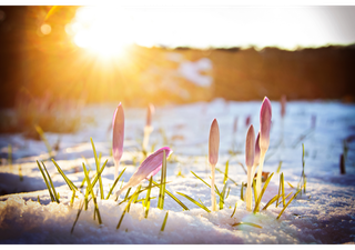 Meteo, oggi la Candelora: 'Dall'inverno semo fora?'