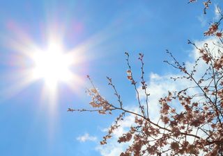 Meteo Pasqua e Pasquetta, che tempo potrebbe fare? Qualche indicazione