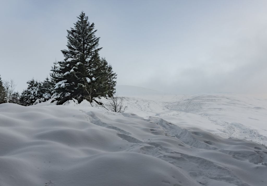 In queste giornate un intenso innevamento sta producendo accumuli ingenti sull'Appennino, rendendo questa fine di stagione la più nevosa dell'anno intero.