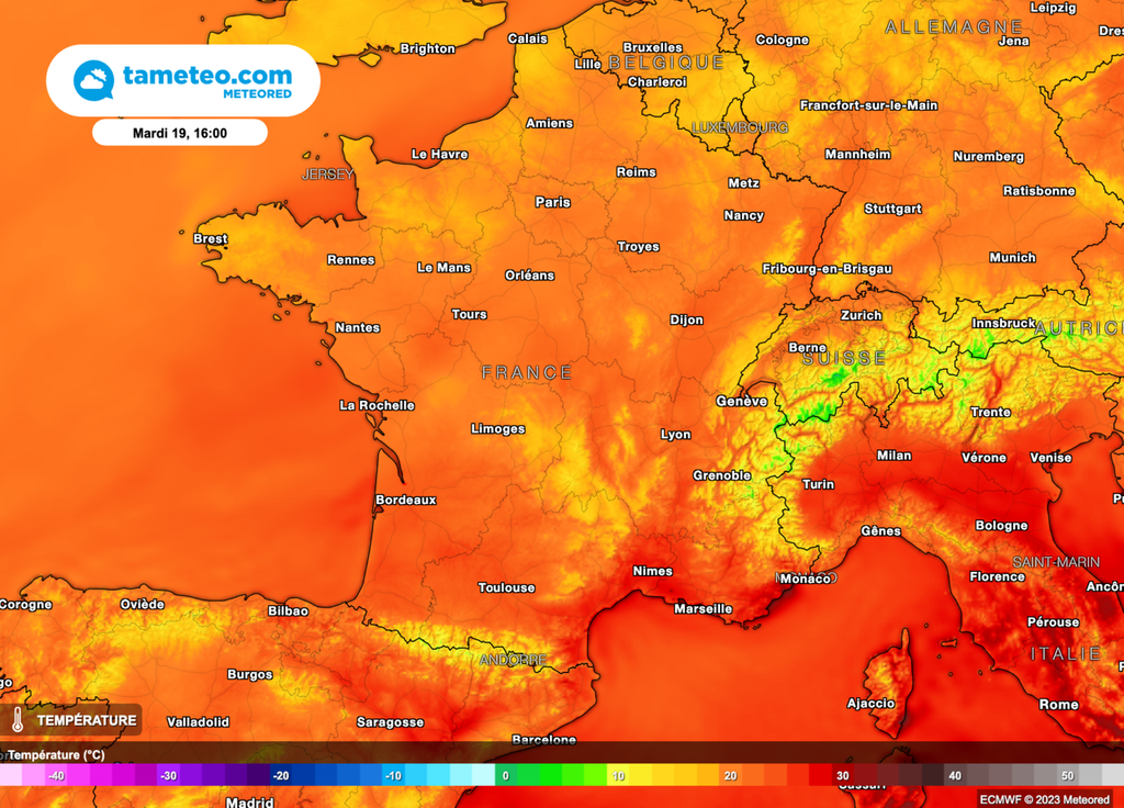 Chaud Chaud