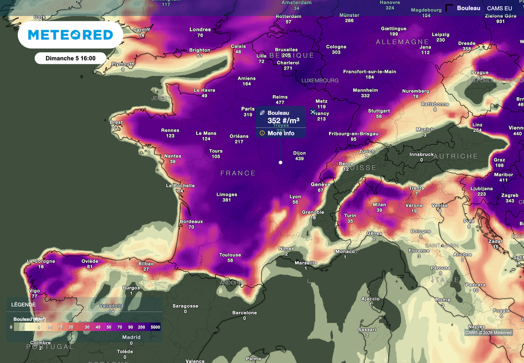 Les pollens de bouleaux sont très présents en ce moment, ce après les noisetiers et aulnes. Les pollens de bouleaux sont très présents en ce moment, ce après les noisetiers et aulnes.