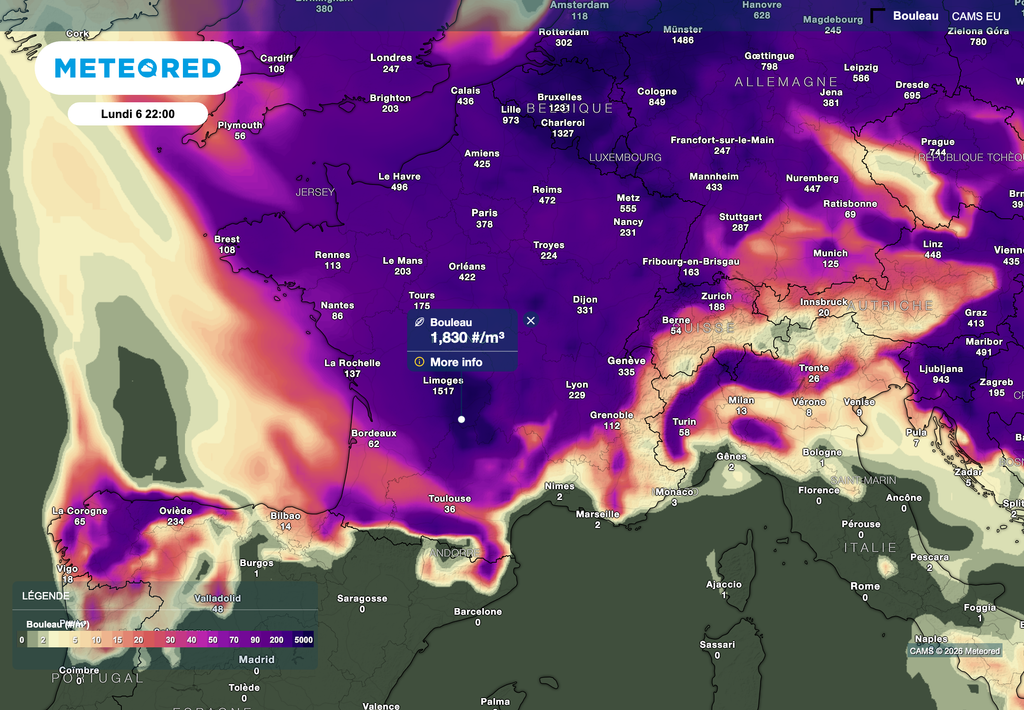 Les pollens seront présents tout au long de ce week-end de Pâques. Les pollens seront présents tout au long de ce week-end de Pâques.