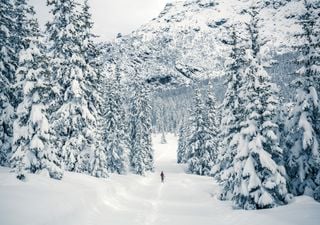 Meteo, quando arriva la prima neve in pianura? Come sarà Natale?