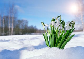 Meteo, primavera in anticipo: bel tempo in arrivo, ma non dappertutto