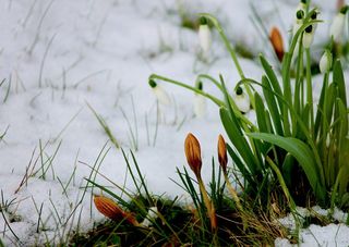 Meteo, quando la Pasqua porta l'inverno: il precedente del 2008