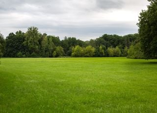 Météo quasiment automnale ce week-end : quelles régions concernées ? 