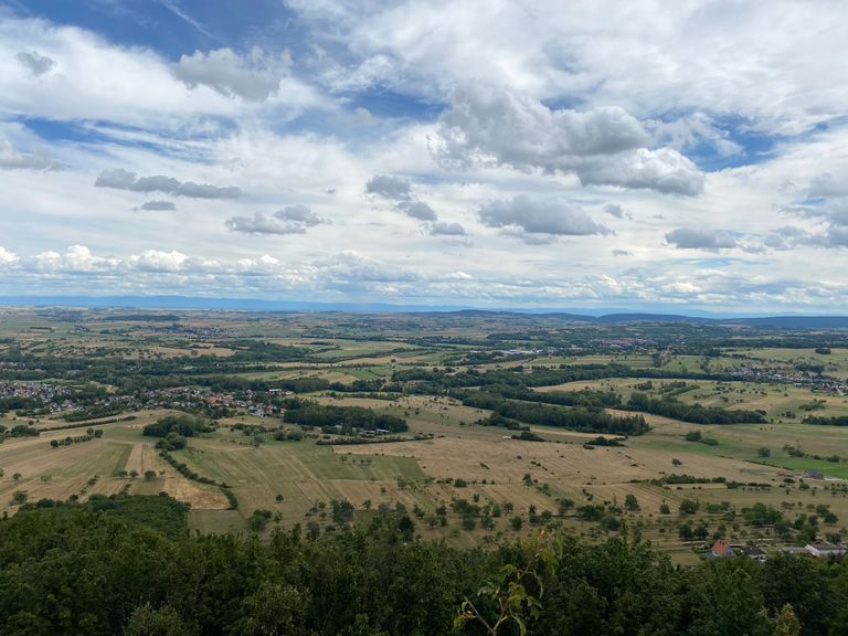 Saverne - Clément Meirone Saverne - Clément Meirone