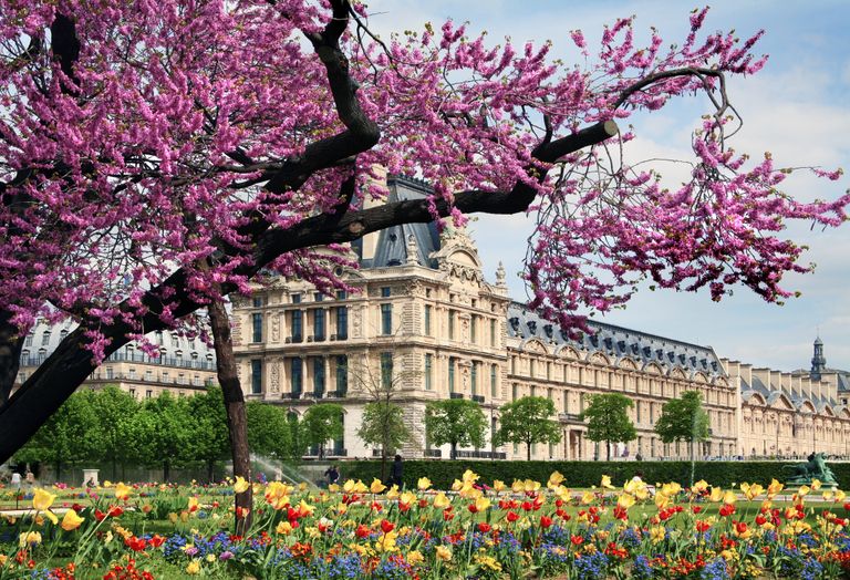printemps paris printemps paris