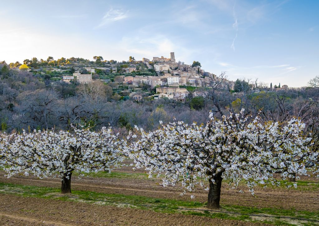 luberon luberon