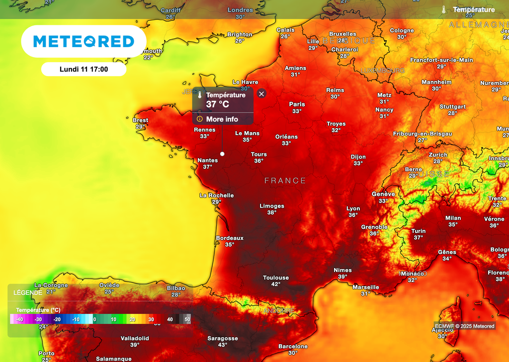 Des températures très élevées attendues en début de semaine prochaine. Carte : modèle ECMWF.