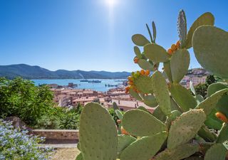 Meteo, seconda metà di giugno: ecco le tendenze. E luglio?