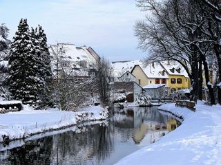 Météo semaine : vers un temps plus froid et neigeux ?