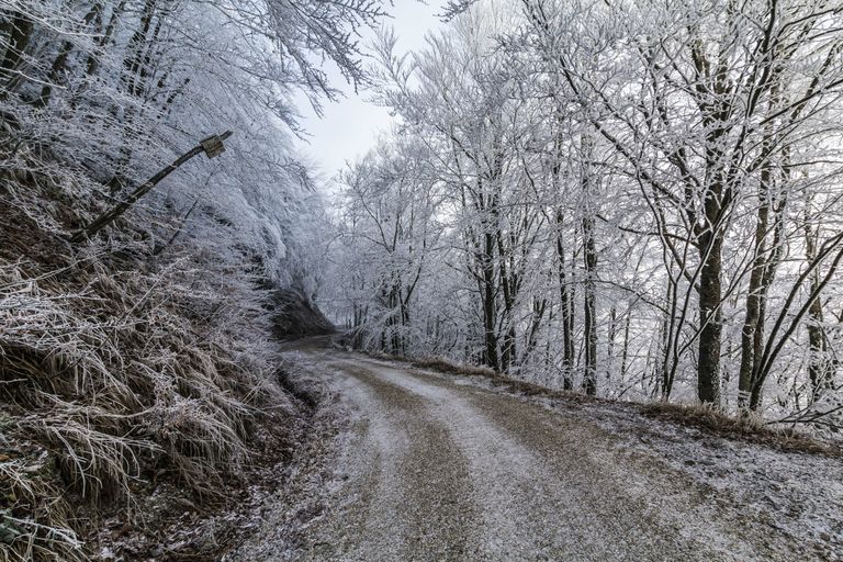 In arrivo abbondanti nevicate in Appennino In arrivo abbondanti nevicate in Appennino