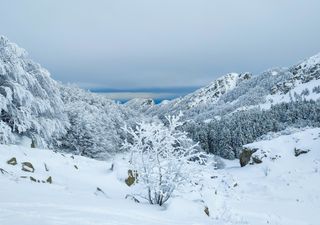 Ultimi aggiornamenti meteo sul possibile ruggito invernale post Candelora