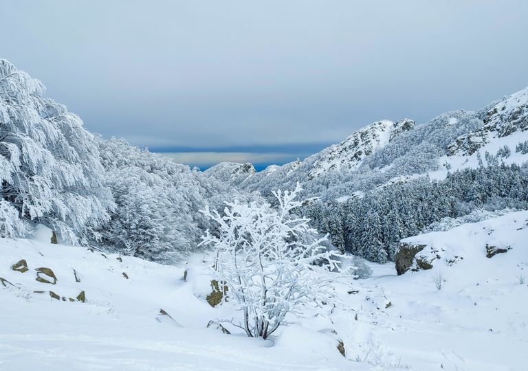 Ultimi aggiornamenti meteo sul possibile ruggito invernale post Candelora Ultimi aggiornamenti meteo sul possibile ruggito invernale post Candelora