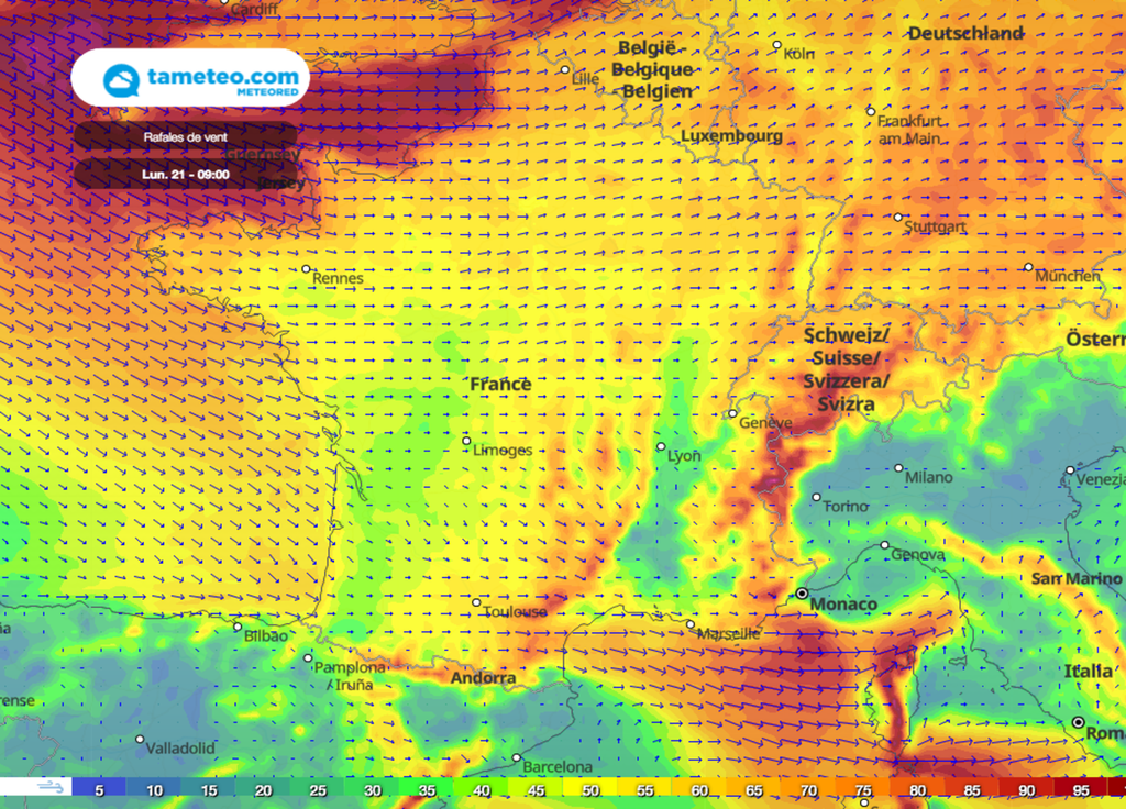 Tempête Tempête
