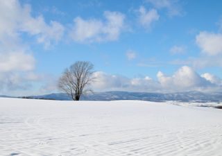 Meteo: torna il freddo con piogge, temporali e neve a quote collinari