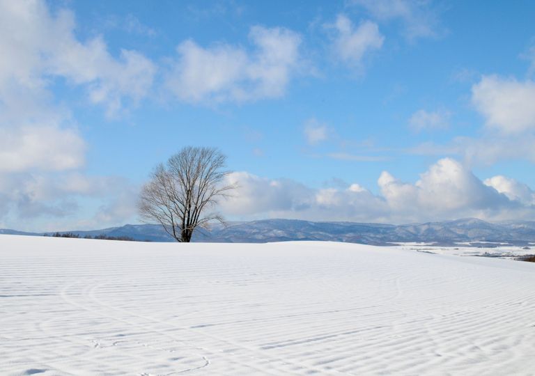 Meteo: torna il freddo con piogge, temporali e neve a quote collinari Meteo: torna il freddo con piogge, temporali e neve a quote collinari