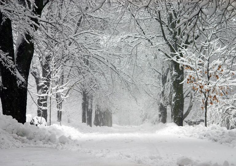 Meteo, torna il maltempo e dal weekend possibili sorprese nevose: ecco dove Meteo, torna il maltempo e dal weekend possibili sorprese nevose: ecco dove