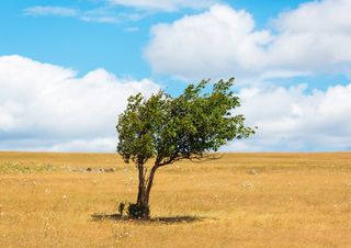 Meteo, torna il sereno