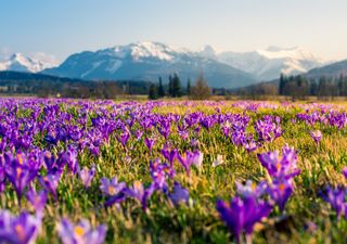 Meteo, torna l’alta pressione ma week-end incerto: e la siccità?