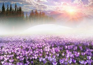 Meteo: torna l'anticiclone, poi di nuovo freddo entro fine mese?