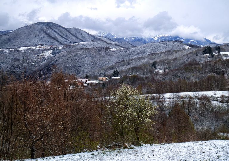 PREVISIONI METEO PREVISIONI METEO