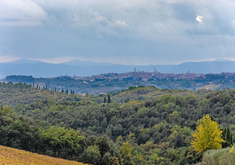 Meteo: ultime perturbazioni, poi estate di San Martino anticipata? Meteo: ultime perturbazioni, poi estate di San Martino anticipata?