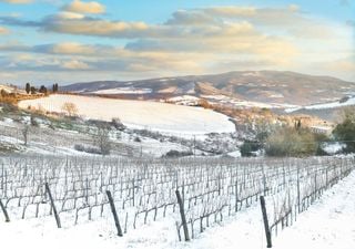 Meteo, arriva la neve in pianura! Dove cadrà? Gli ultimi aggiornamenti