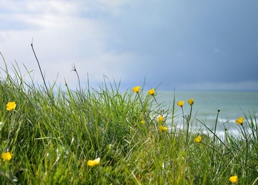 M&eacute;t&eacute;o week-end : apr&egrave;s le printemps, le temps va-t-il devenir de nouveau automnal ?