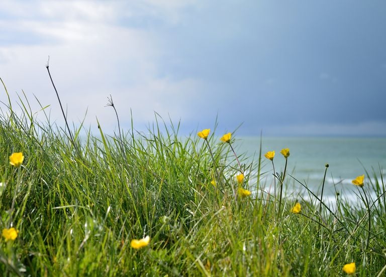 M&eacute;t&eacute;o week-end : apr&egrave;s le printemps, le temps va-t-il devenir de nouveau automnal ?