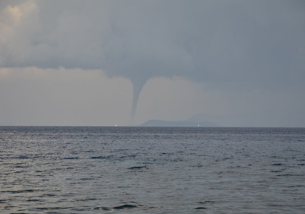 tromba marina tromba marina