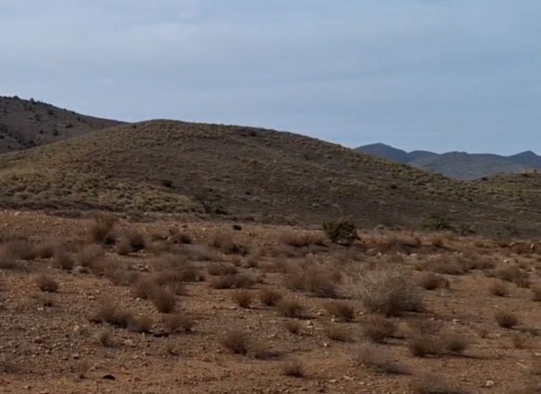 Meteored en el epicentro de la sequía en España: menos lluvia que en el Sáhara estos meses