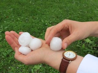 Meteorologe entsetzt: &bdquo;Solchen Mai gab's selten!" Vatertag-Schock, Eisheilige-Drama, Pfingsten-Hitze