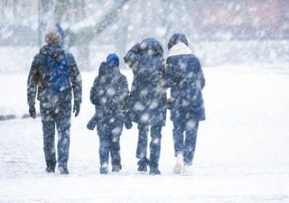 Meteorologen im Winterfieber: Diese Schneekarten versprechen weiße Weihnachten – oder doch nicht?