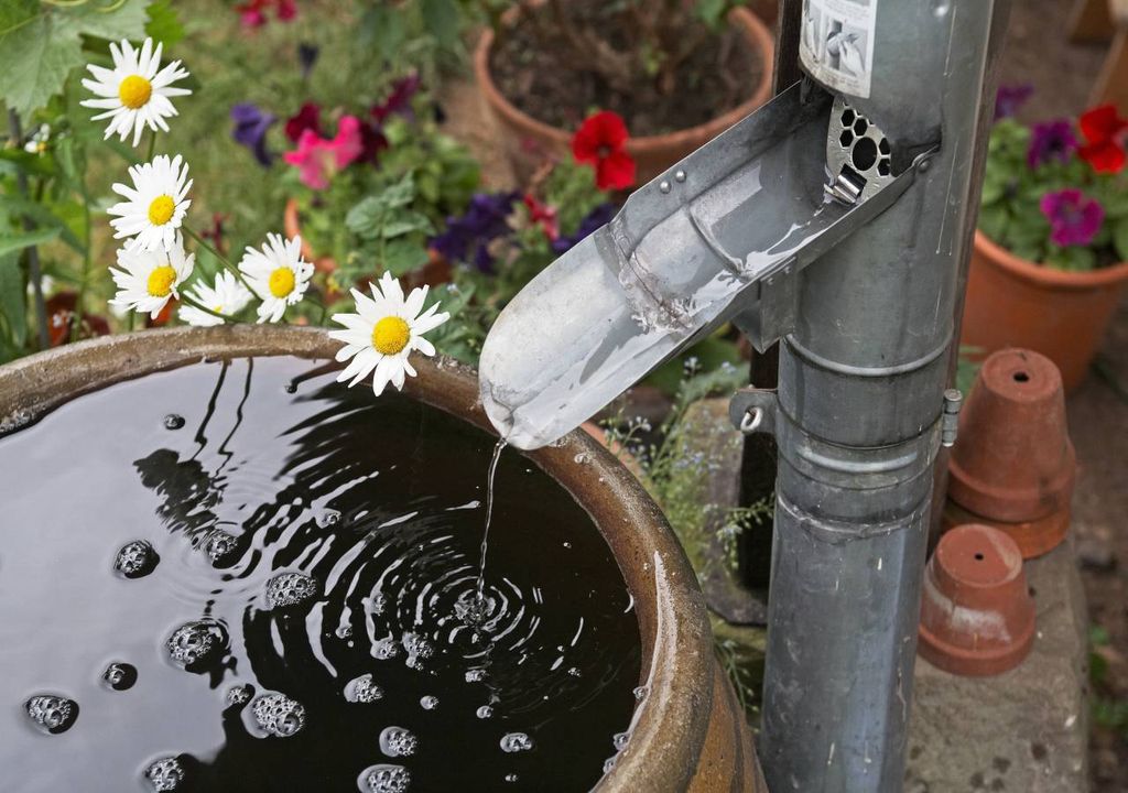 Rain and flowers.