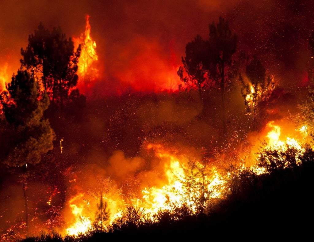 Incendio forestal Incendio forestal