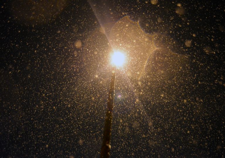 neve neve