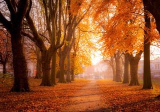 Meteorological Autumn arrives: what can we expect this year?