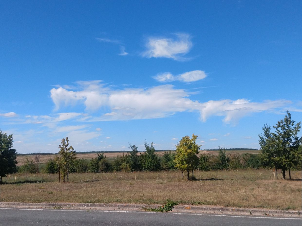 vereisende Wolke mit Fallstreifen vereisende Wolke mit Fallstreifen