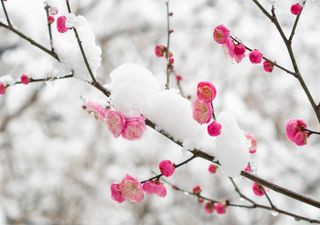 Meteostoria, la neve in pianura del 17-18 aprile 1991: a quando il bis?