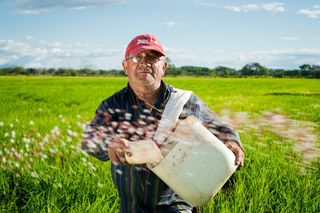 Métodos de predicción: las cabañuelas del mes de agosto