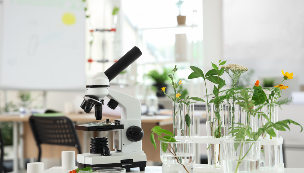 Los genes esenciales suelen ofrecer un control eficaz, pero también requieren revisar cuidadosamente su similitud con genes de otras especies. Los genes esenciales suelen ofrecer un control eficaz, pero también requieren revisar cuidadosamente su similitud con genes de otras especies.