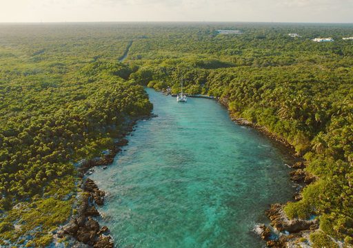 M&eacute;xico busca frenar el cambio clim&aacute;tico con la estrategia REDD+, uniendo el campo y los bosques para asegurar alimento