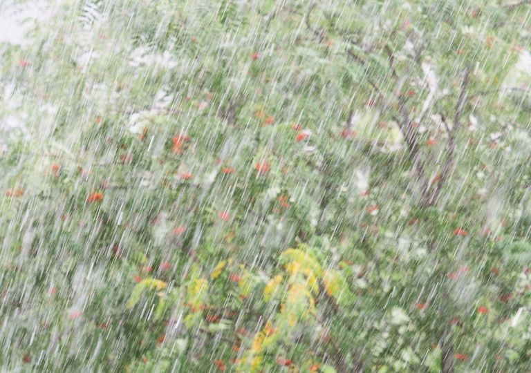 Regresan las nevadas al norte de México Regresan las nevadas al norte de México