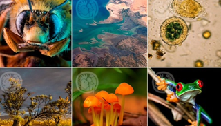 M&eacute;xico tiene un archivo con m&aacute;s de 200,000 fotograf&iacute;as de animales y plantas: as&iacute; es el banco de im&aacute;genes de CONABIO