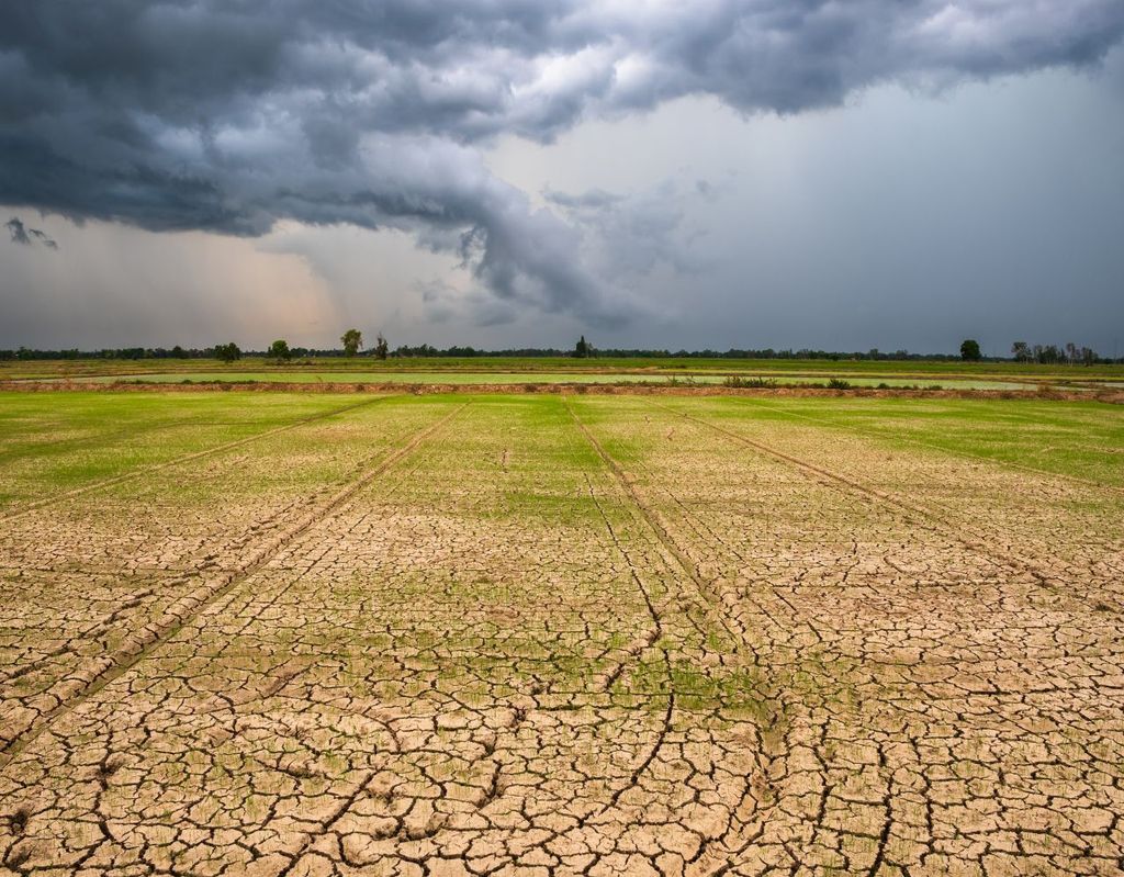 México quiere crear lluvia artificial: ¿funcionará?