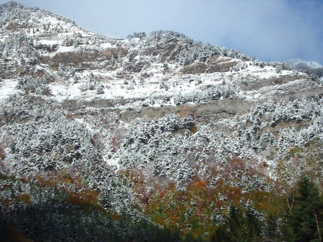 Mezcla Otoño/nieve Canfranc, Pirineo Aragonés Samansaman@arrakis.eshttp://www.arrakis.es/~saman/ Siguiendo con mi costumbre de compartir con vosotros un poco de los paisajes que puedo disfrutar en directo.Las fotos hice el sábado 18 de octubre de 2003 por la tarde.Saludos cordiales,