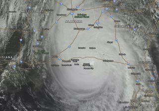 "Michael" toca tierra como categoría 4 en EE.UU.