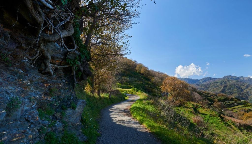 Micos Sicilia Uno dei diversi sentieri nel verse che permettono di esplorare i Monti Peloritani